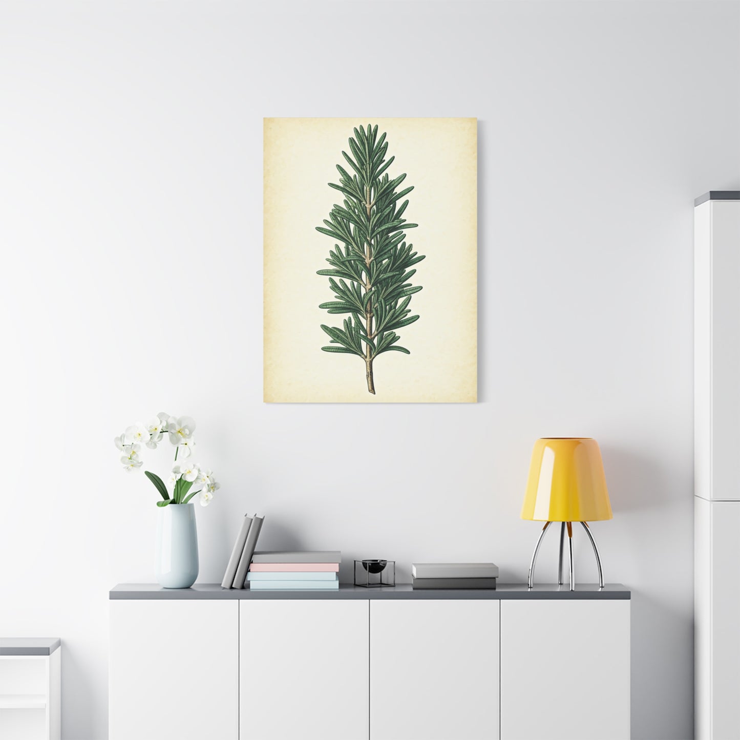 Rosemary Herb Vintage Study Wall Art & Canvas Prints