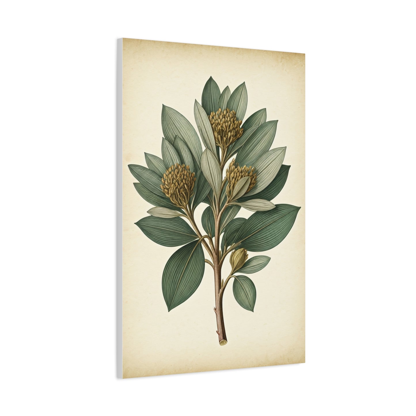 Floral Branch Illustration Wall Art & Canvas Prints