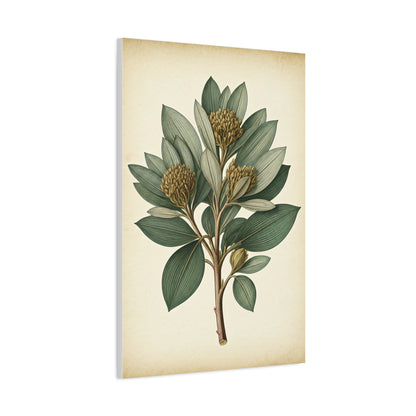 Floral Branch Illustration Wall Art & Canvas Prints