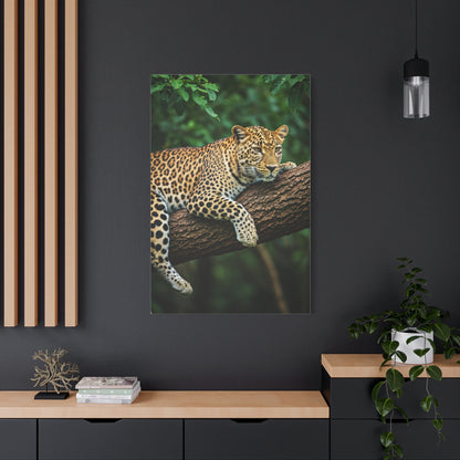Leopard Resting in Jungle Canopy Wall Art & Canvas Prints