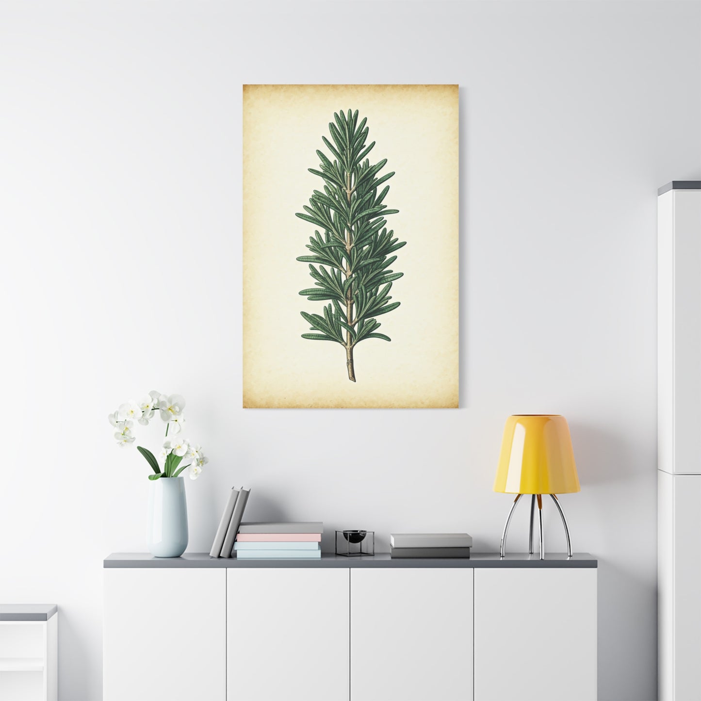 Rosemary Herb Vintage Study Wall Art & Canvas Prints