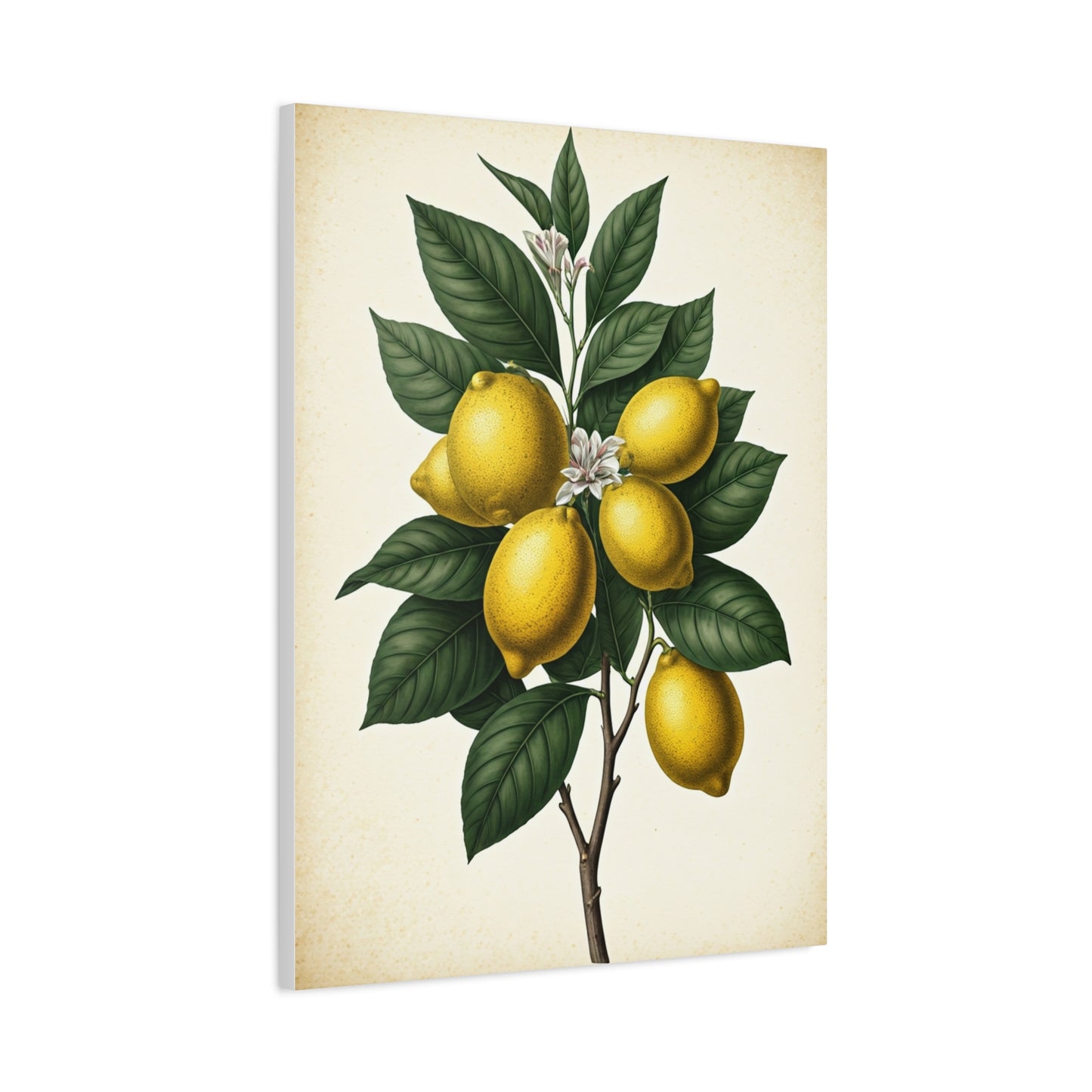 Lemon Branch Illustration Wall Art & Canvas Prints