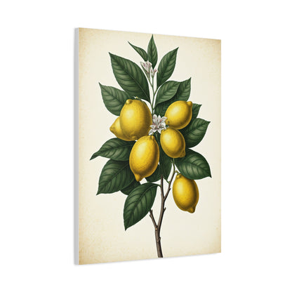 Lemon Branch Illustration Wall Art & Canvas Prints