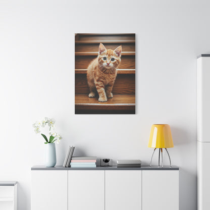 Curious Kitten on Wooden Steps Wall Art & Canvas Prints