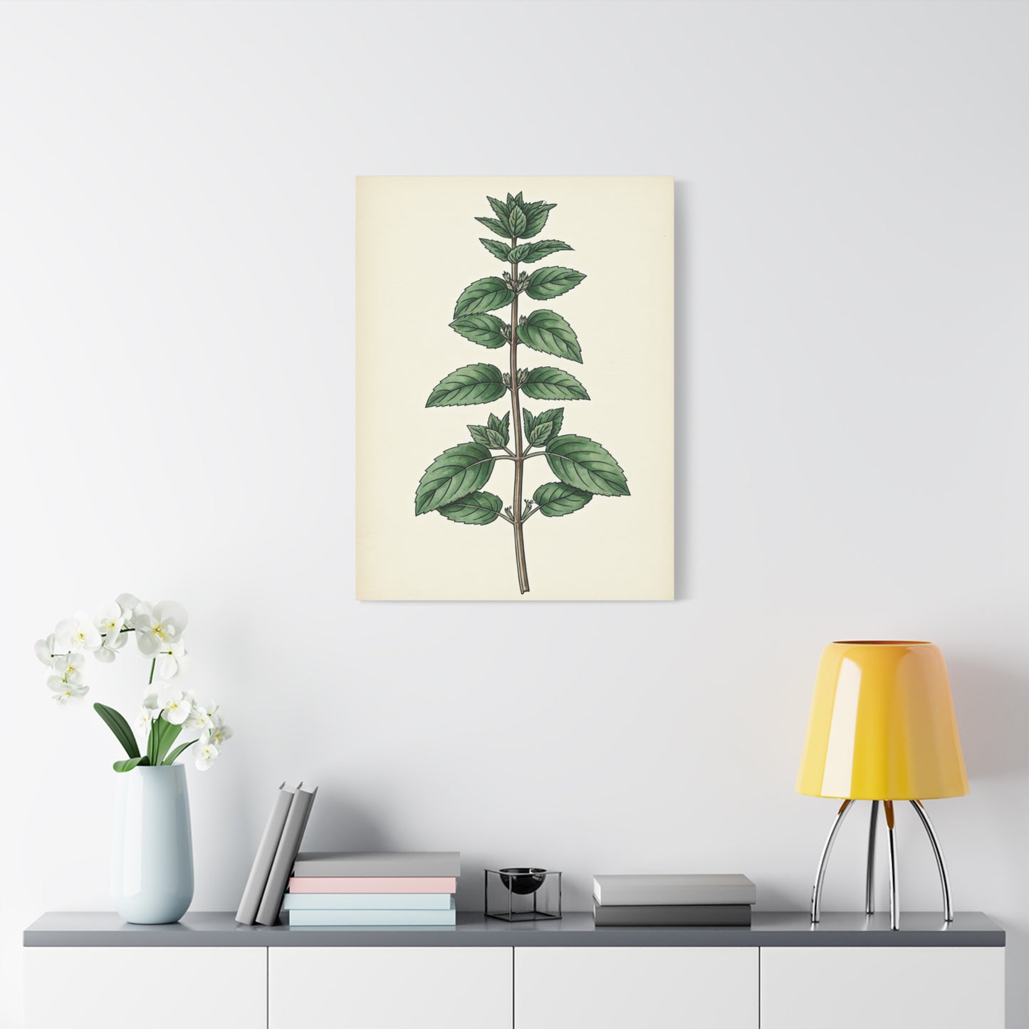 Mint Plant Herbal Illustration Wall Art & Canvas Prints