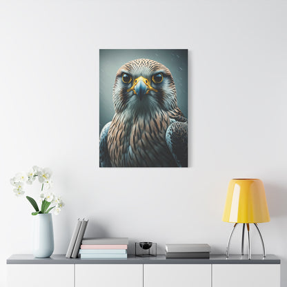 Intense Gaze Hawk Portrait Wall Art & Canvas Prints