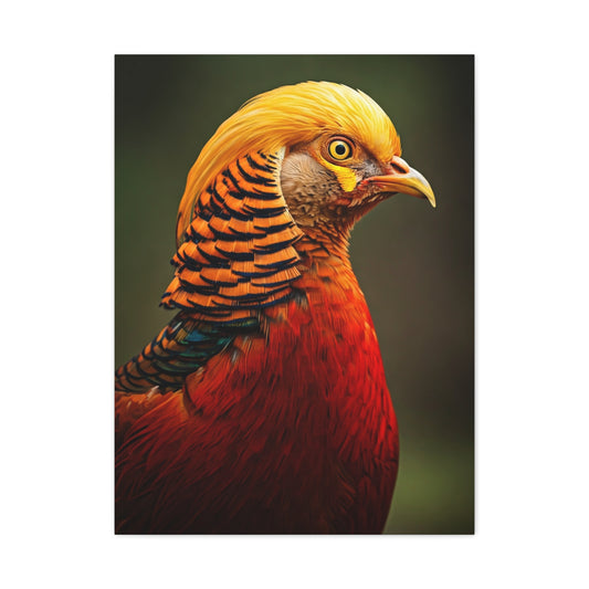 Regal Red Pheasant Portrait Wall Art & Canvas Prints