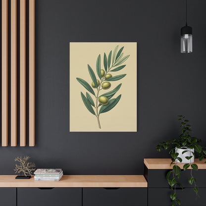 Olive Branch Study Wall Art & Canvas Prints