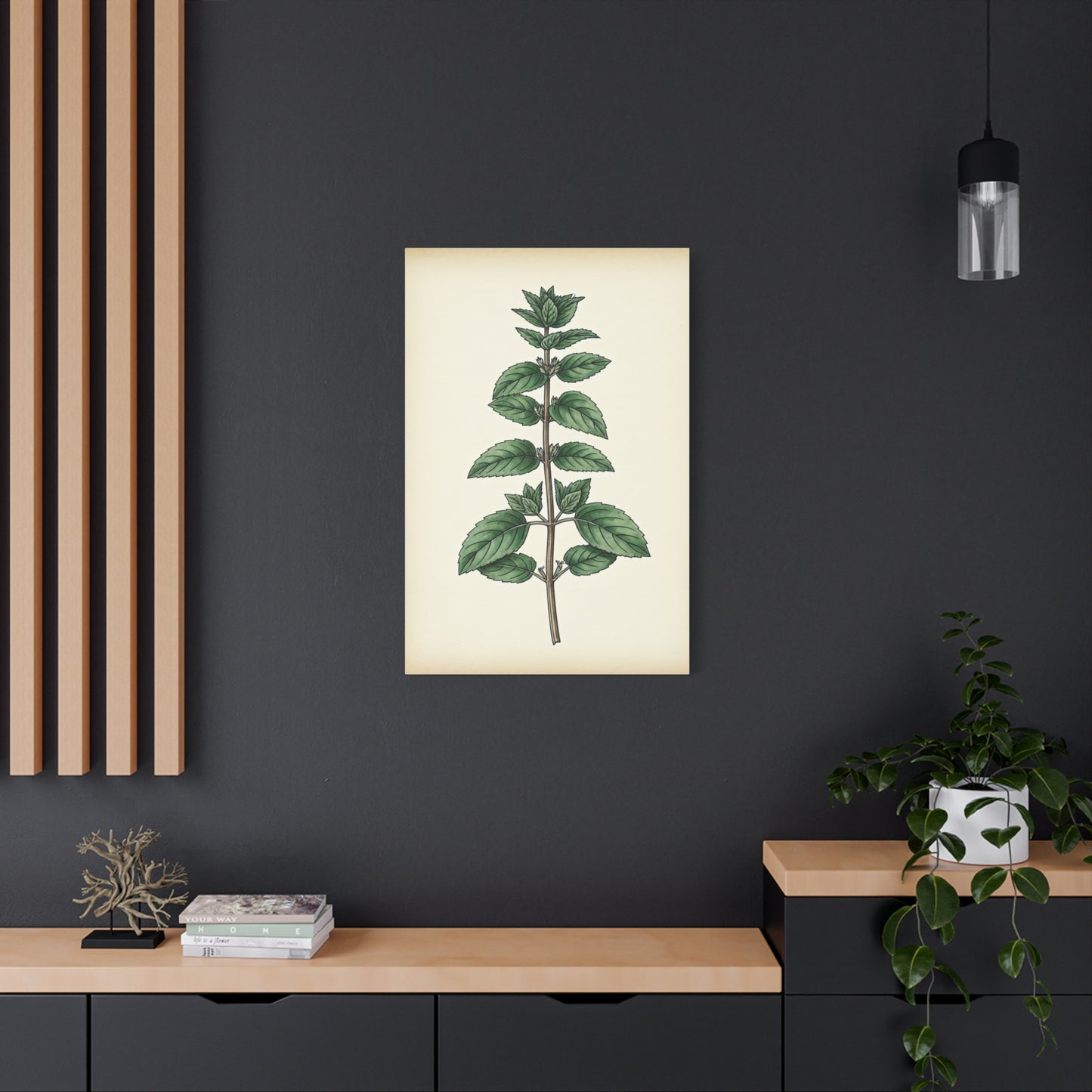 Mint Plant Herbal Illustration Wall Art & Canvas Prints