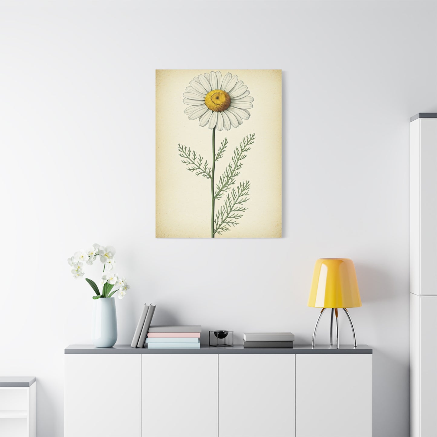 Chamomile Flower Herbal Illustration Wall Art & Canvas Prints