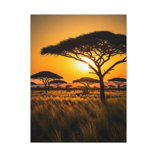 Sunset Silhouette Savanna Tree Wall Art & Canvas Prints