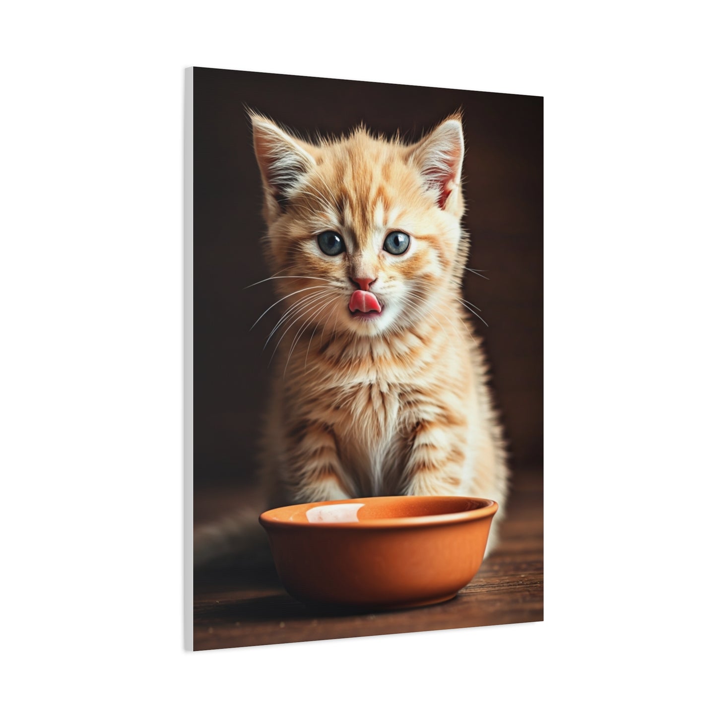 Hungry Kitten Moment Wall Art & Canvas Prints