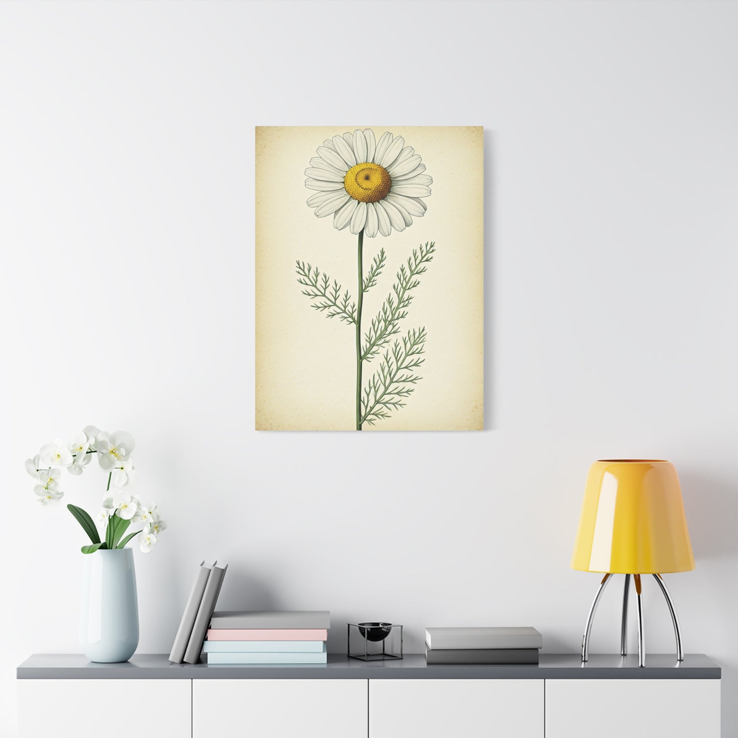 Chamomile Flower Herbal Illustration Wall Art & Canvas Prints
