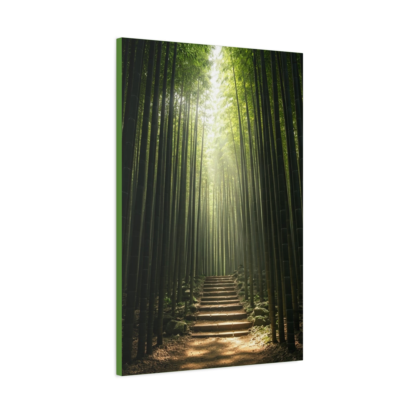 Bamboo Path of Tranquility Wall Art & Canvas Prints