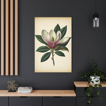 Magnolia Flower Cross Section Wall Art & Canvas Prints