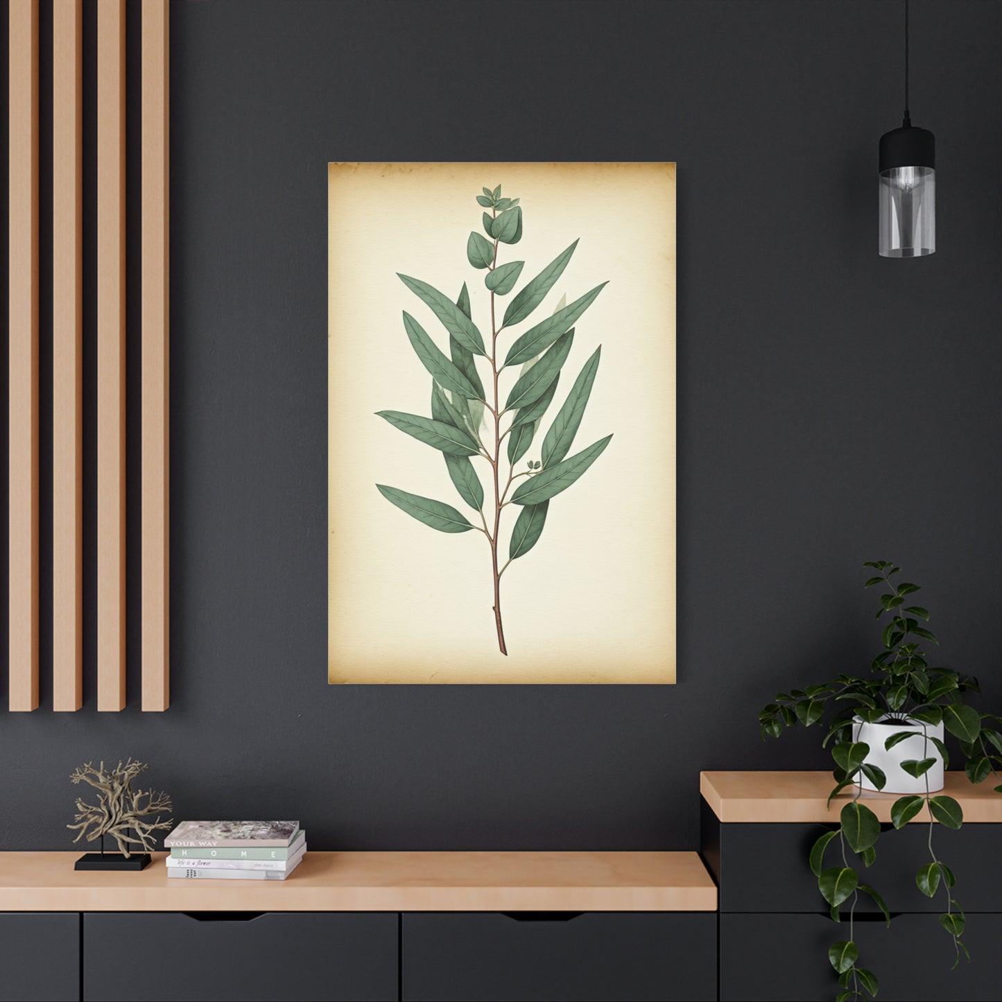 Eucalyptus Branch Illustration Wall Art & Canvas Prints