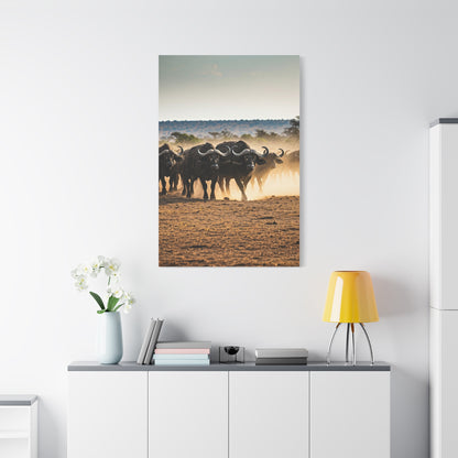 Wild Buffalo Herd in Dusty Savannah Wall Art & Canvas Prints