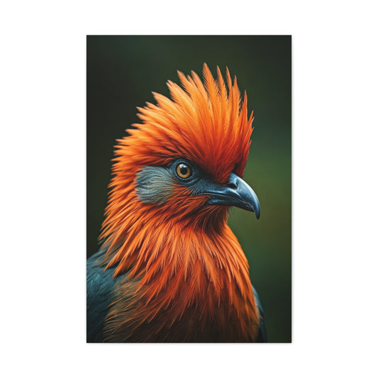 Andean Cock-of-the-Rock Portrait Wall Art & Canvas Prints