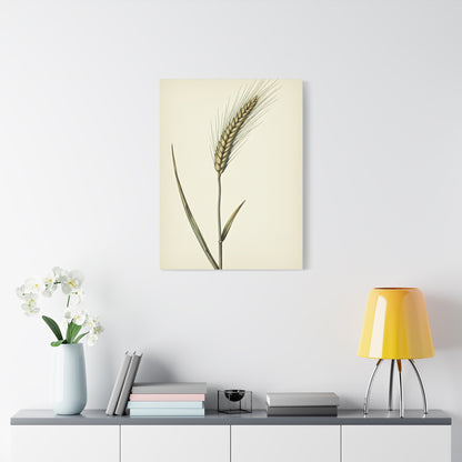 Golden Grain Stem Illustration Wall Art & Canvas Prints