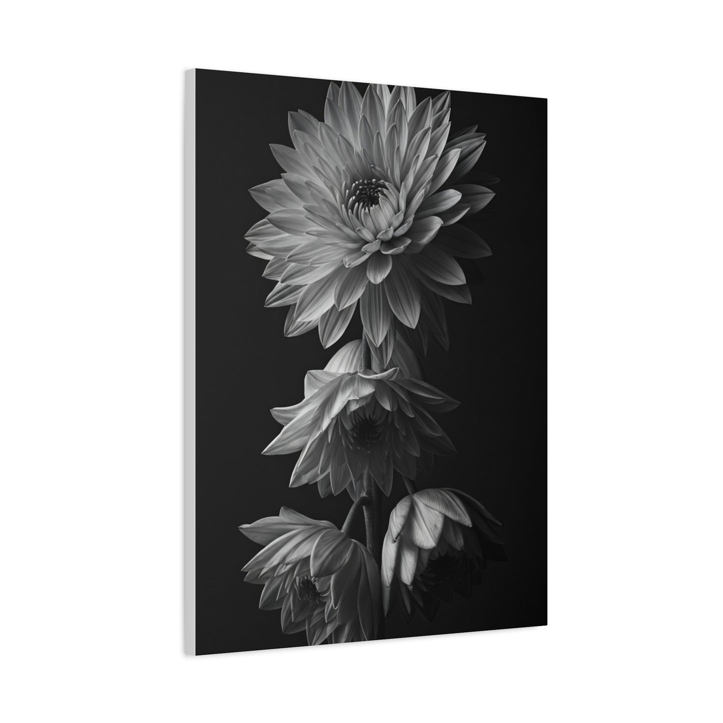 Vertical Dahlia Stem Composition Wall Art & Canvas Prints