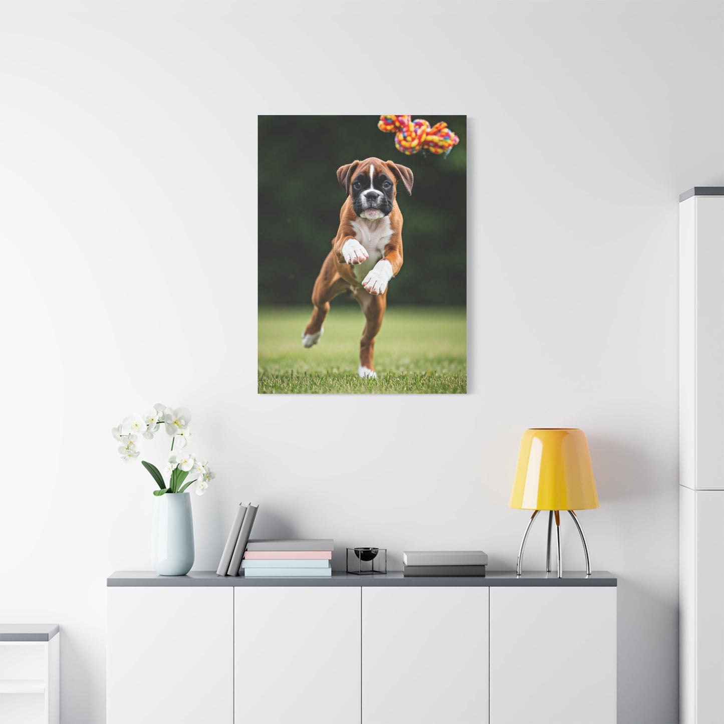 Playful Leap Boxer Wall Art & Canvas Print
