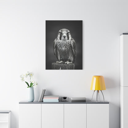 Majestic Falcon Portrait Wall Art & Canvas Prints