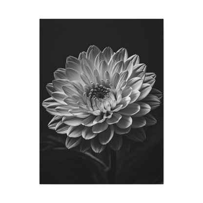 Full Bloom Dahlia Portrait Wall Art & Canvas Prints