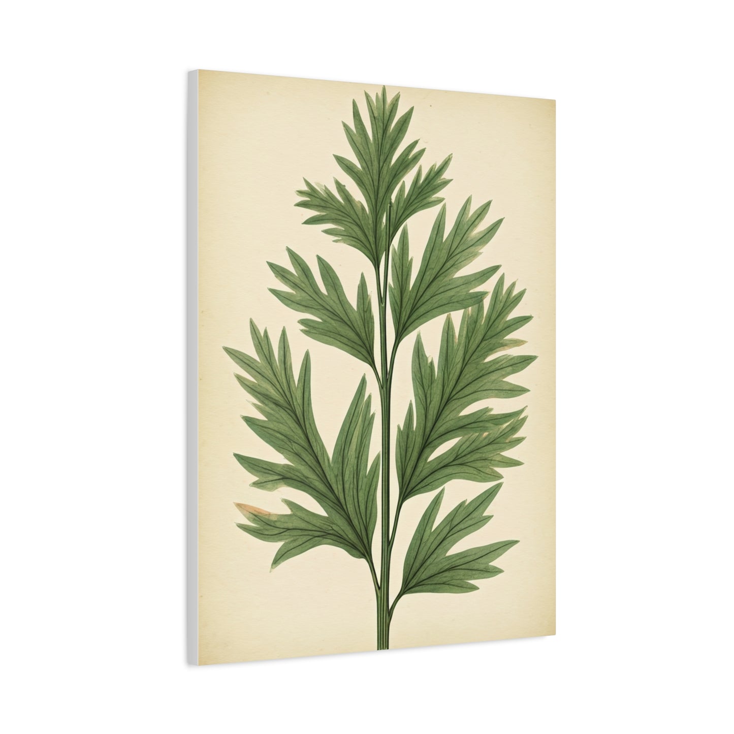 Botanical Herb Study Vintage Wall Art & Canvas Prints