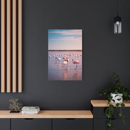 Crocodile Sunset Waterscape Wall Art & Canvas Prints