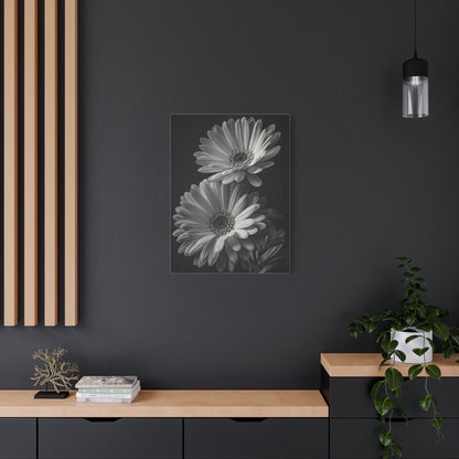 Timeless Gerbera Duo Monochrome Wall Art & Canvas Prints