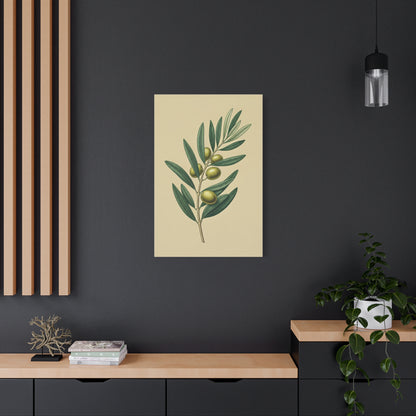 Olive Branch Study Wall Art & Canvas Prints