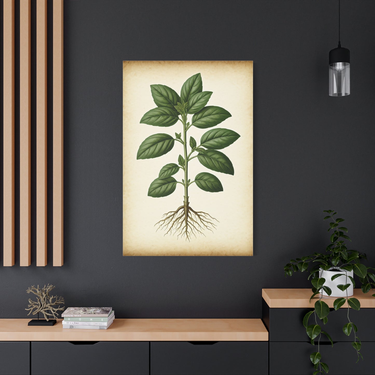 Basil Plant Herbal Illustration Wall Art & Canvas Prints