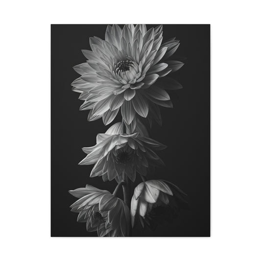Vertical Dahlia Stem Composition Wall Art & Canvas Prints
