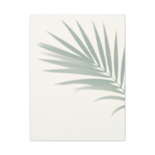 Soft Palm Frond Shadow Minimal Wall Art & Canvas Prints