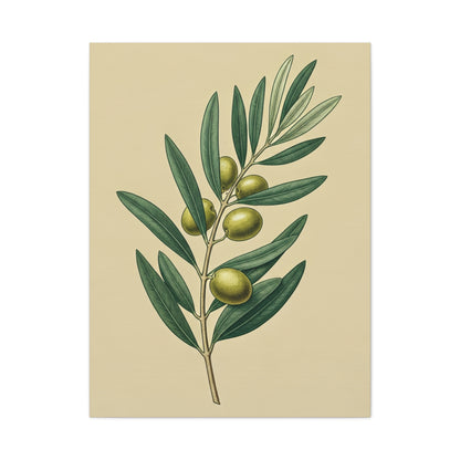 Olive Branch Study Wall Art & Canvas Prints