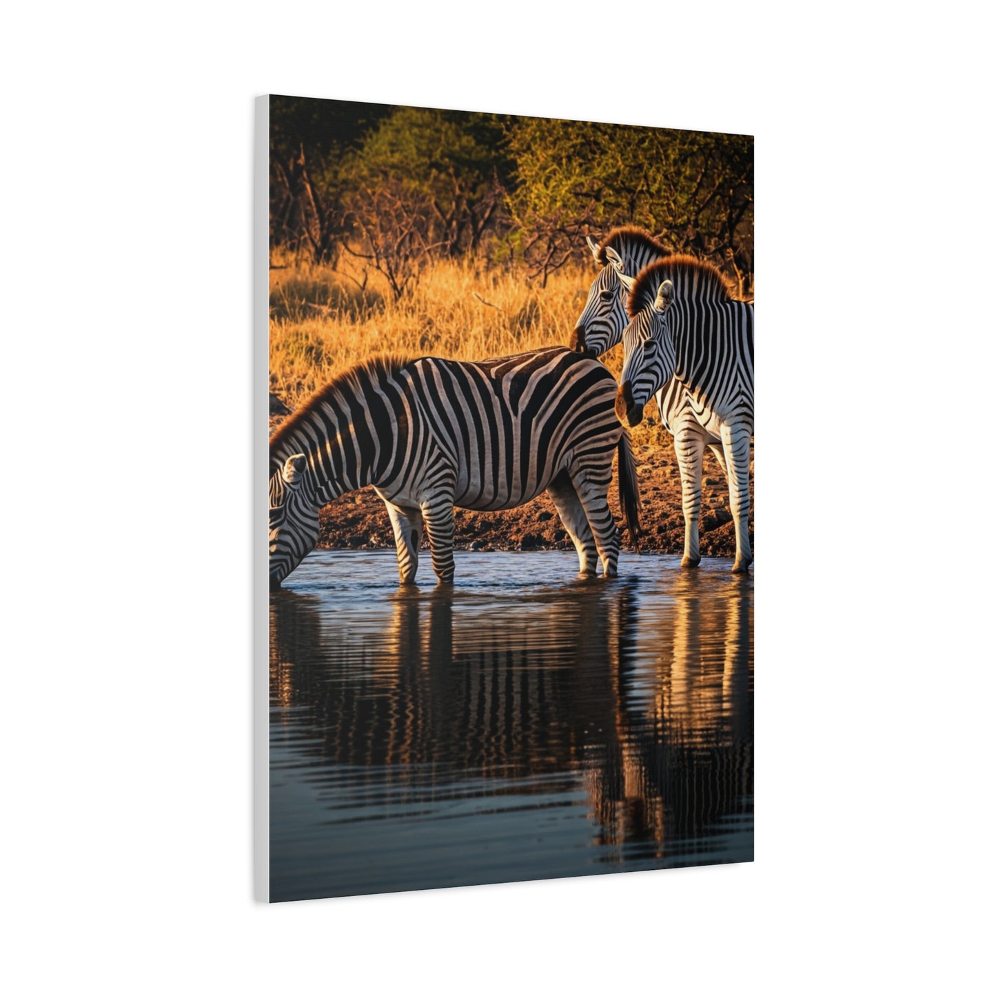 Zebra Pair at the Water’s Edge Wall Art & Canvas Prints