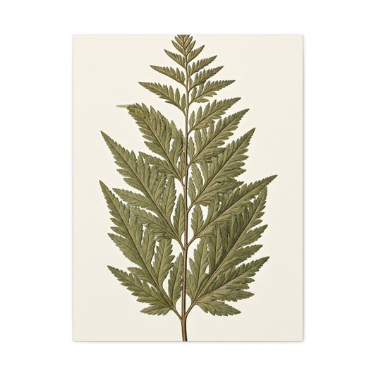 Classic Fern Illustration Wall Art & Canvas Prints