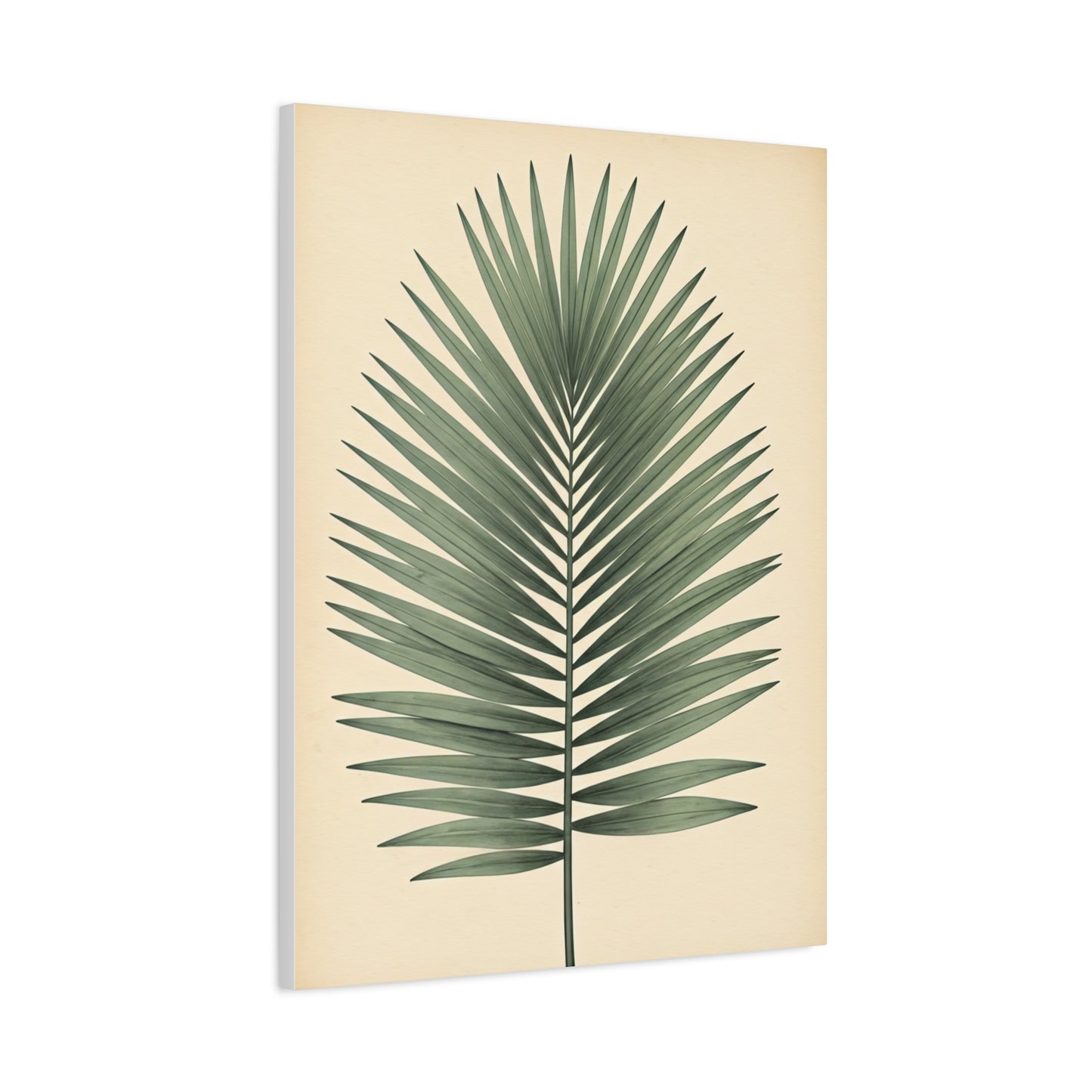 Palm Leaf Minimalist Illustration Wall Art & Canvas Prints