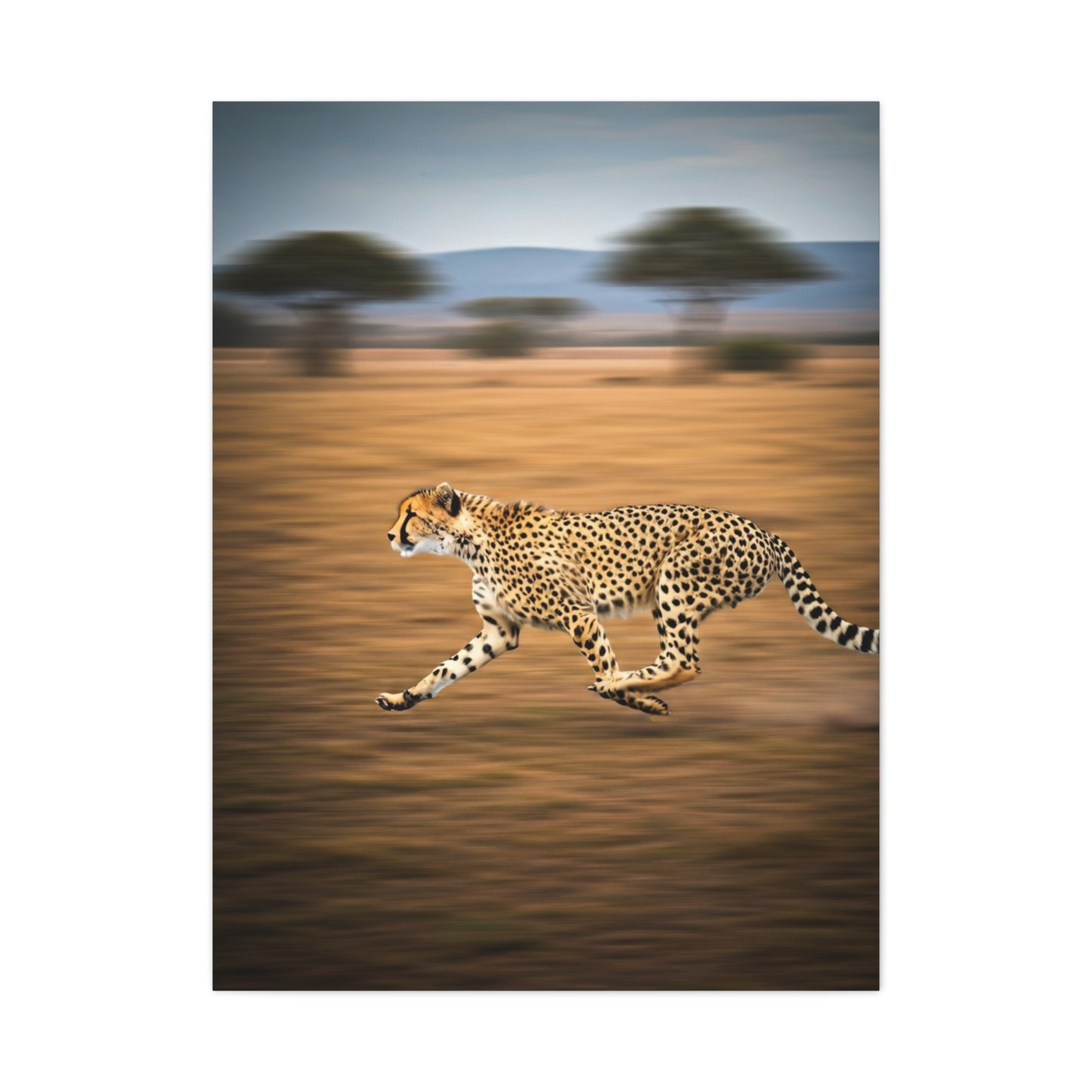 Cheetah Sprint Across the Desert Plains Wall Art & Canvas Prints