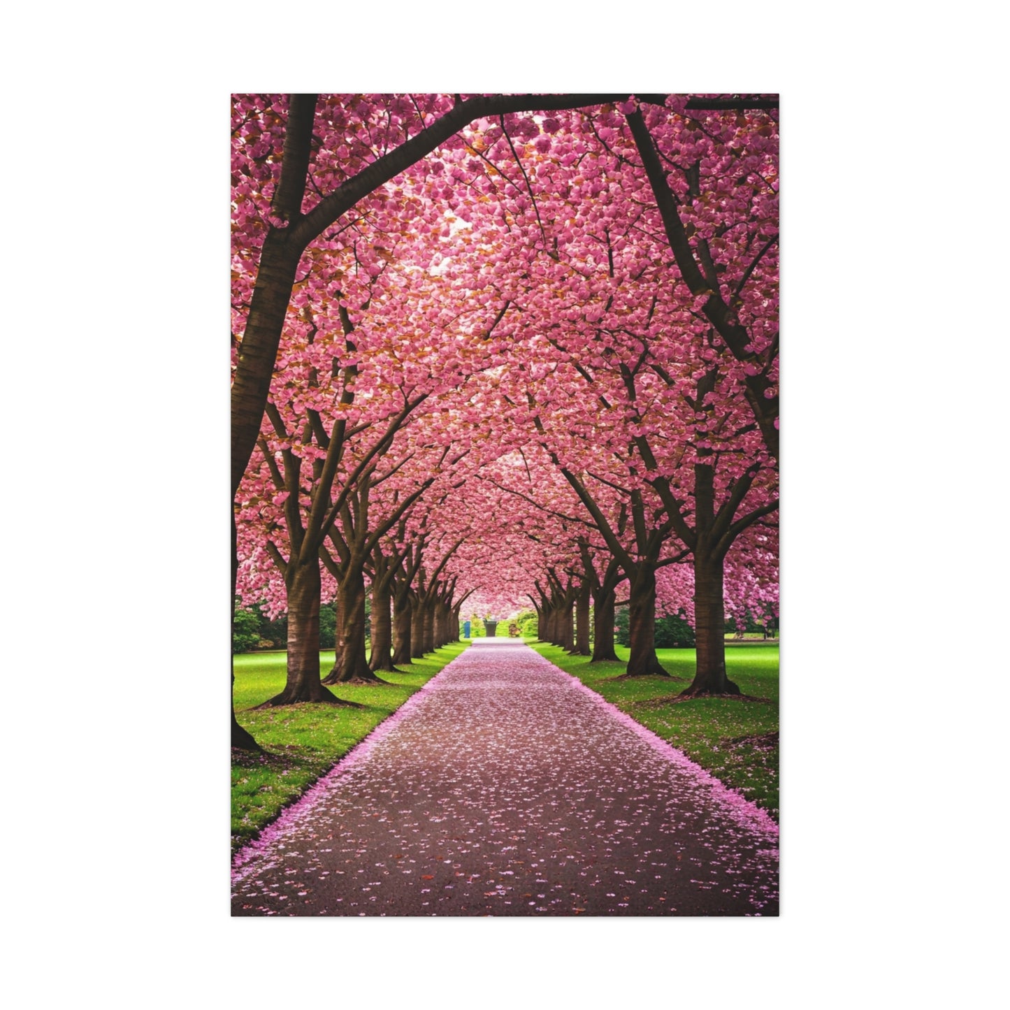 Cherry Blossom Tunnel Spring Pathway Wall Art & Canvas Prints