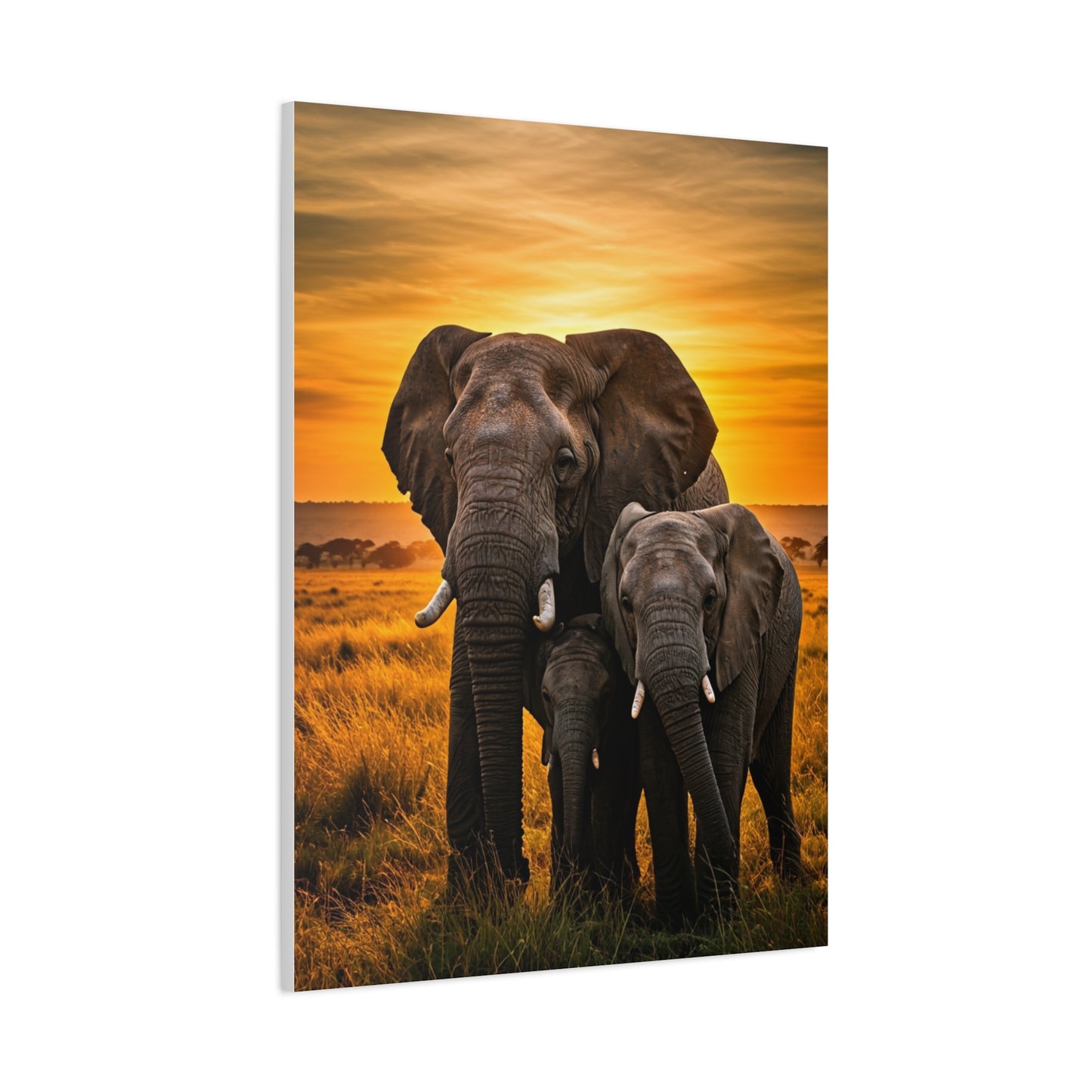 Elephant Companions Wall Art & Canvas Prints