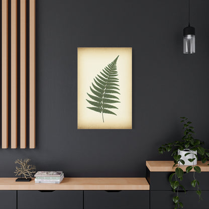 Fern Frond Illustration Wall Art & Canvas Prints
