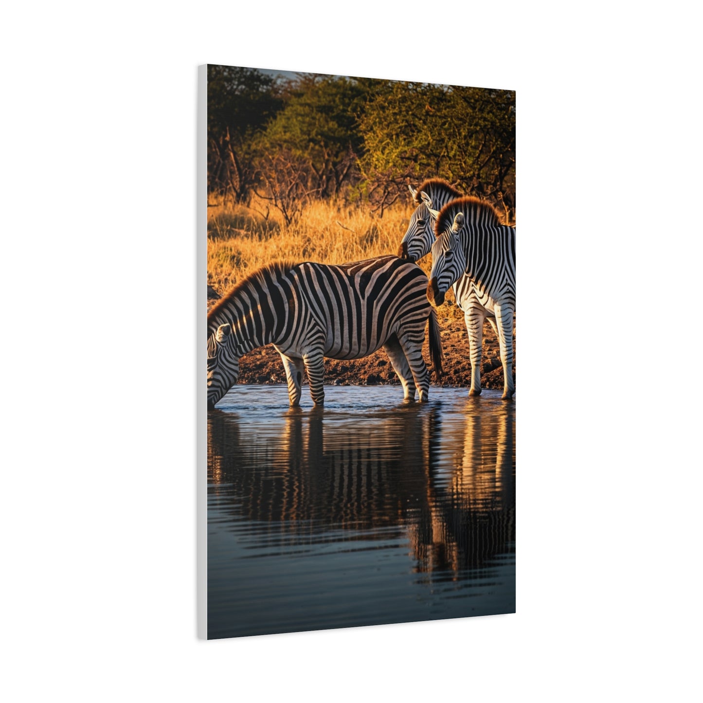 Zebra Pair at the Water’s Edge Wall Art & Canvas Prints