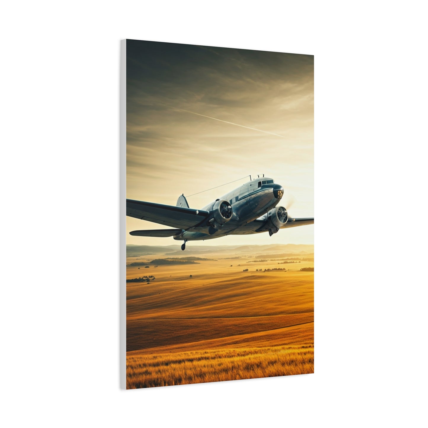 Golden Age Flight Over Desert Wall Art & Canvas Prints