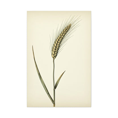 Golden Grain Stem Illustration Wall Art & Canvas Prints