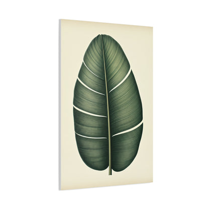 Tropical Leaf Study Illustration Wall Art & Canvas Prints