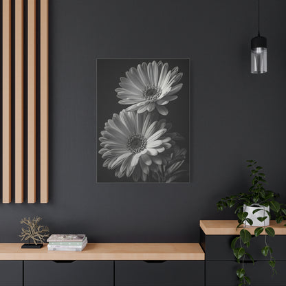 Timeless Gerbera Duo Monochrome Wall Art & Canvas Prints