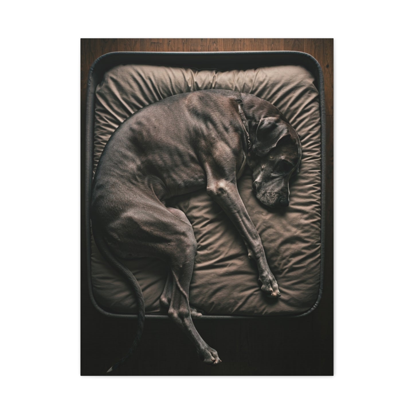 Peaceful Slumber Canine Wall Art & Canvas Print