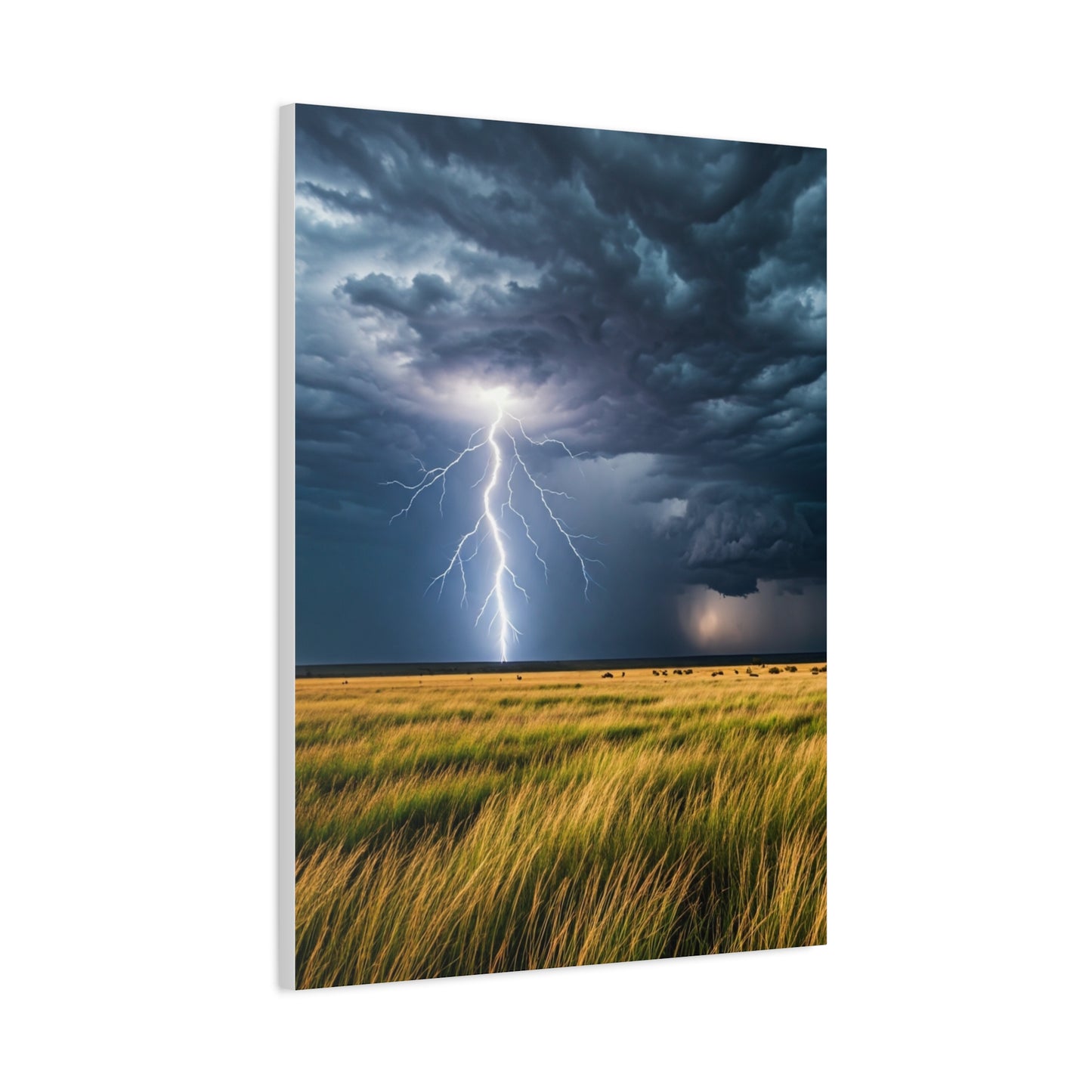 Lightning Storm Over Golden Plains Wall Art & Canvas Prints