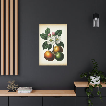 Citrus Fruit Illustration Wall Art & Canvas Prints